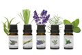 RIO Duftöl-Set Pure Essential Oil 5 Stk.